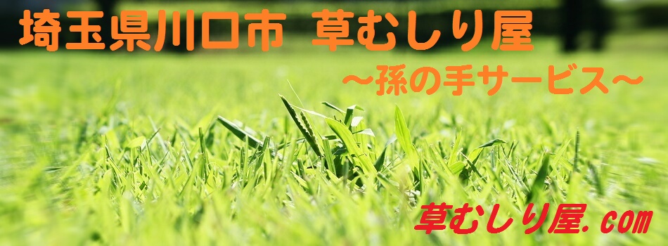 ̎T[rX